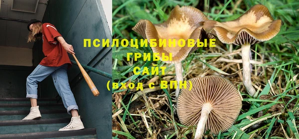 дживик Баксан