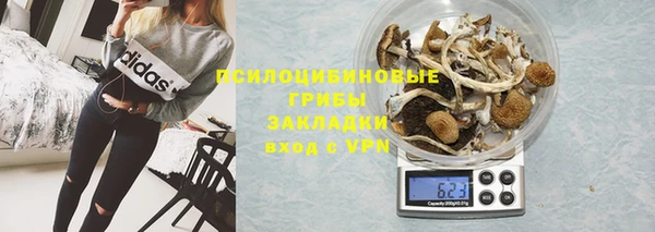 дживик Баксан