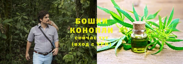 дживик Баксан