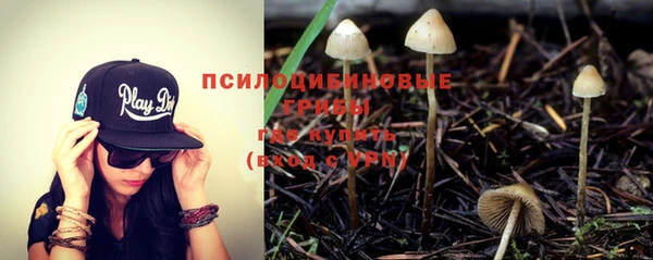 дживик Баксан
