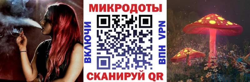 где найти наркотики  Георгиевск  Галлюциногенные грибы Psilocybine cubensis 